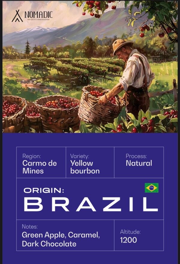 BRAZIL Carmo De Mines 250gram