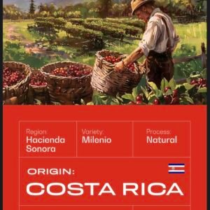 Costa Rica Coffee Beans 250gr