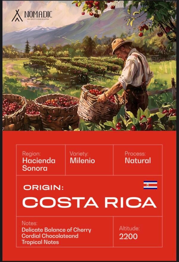 Costa Rica Coffee Beans 250gr