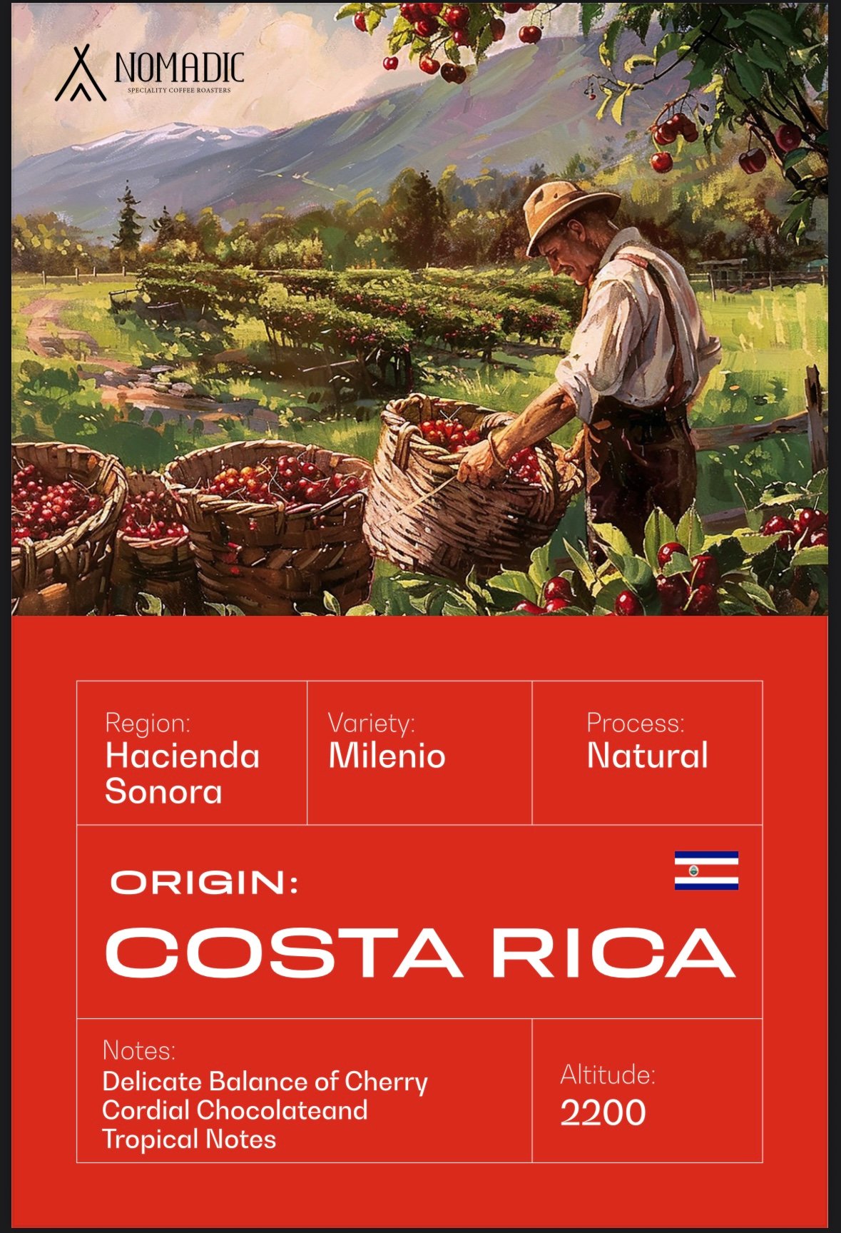 Costa Rica Coffee Beans 250gr